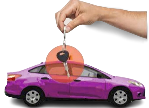 Designated Driver